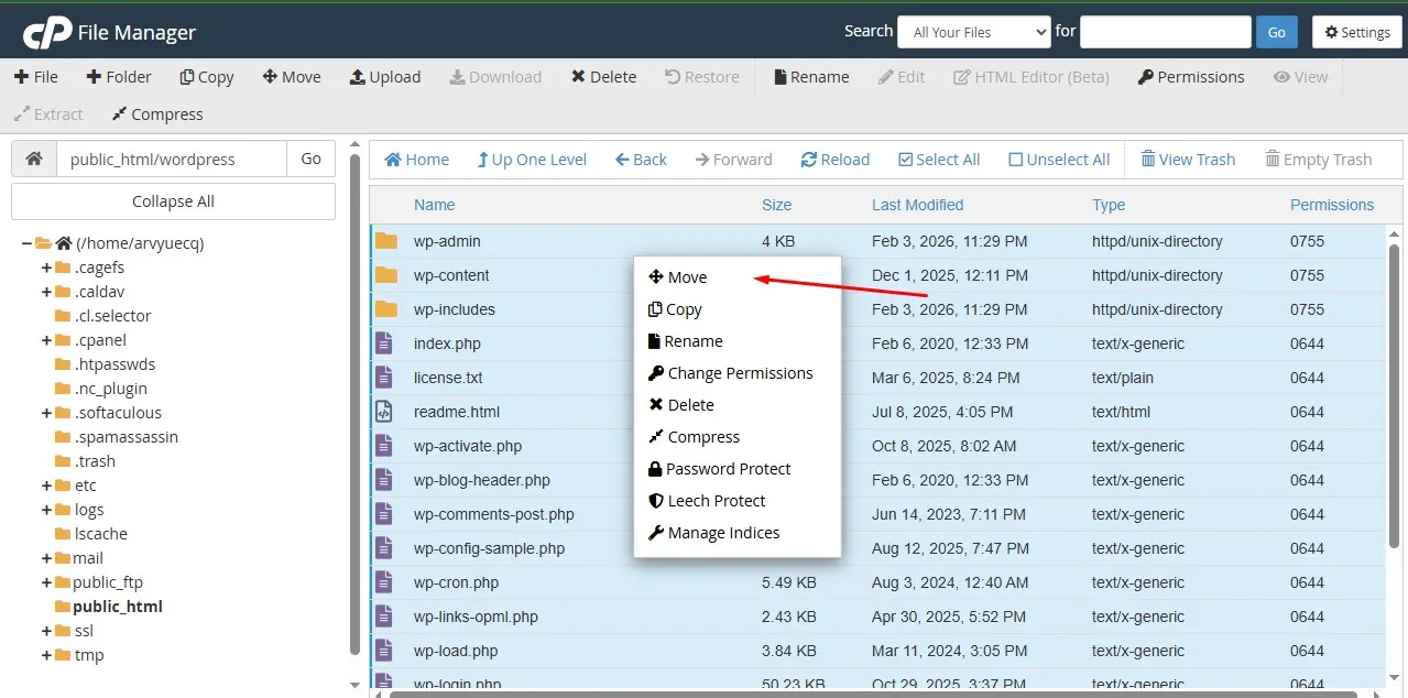 Move the WordPress Files to Public_html